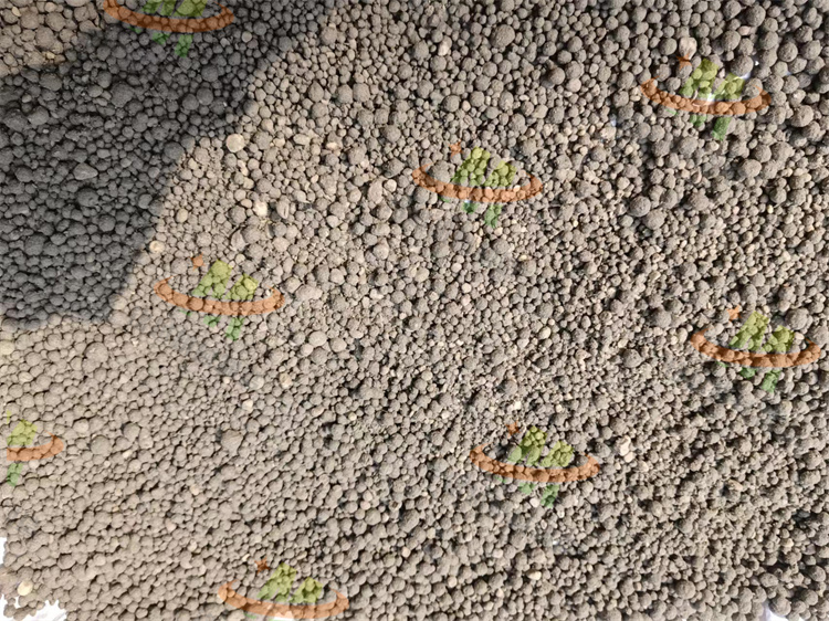 �����ЙC���w��